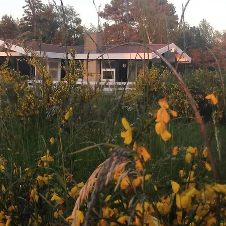 Summer Vibe Near Fynshoved And The Great Belt *