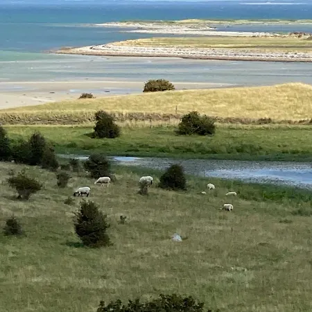 Summer Vibe Near Fynshoved And The Great Belt *