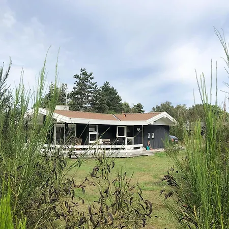 Summer Vibe Near Fynshoved And The Great Belt