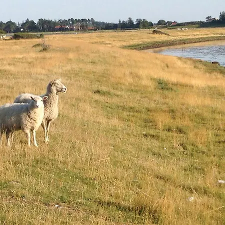 Feriehus Summer Vibe Near Fynshoved And The Great Belt *