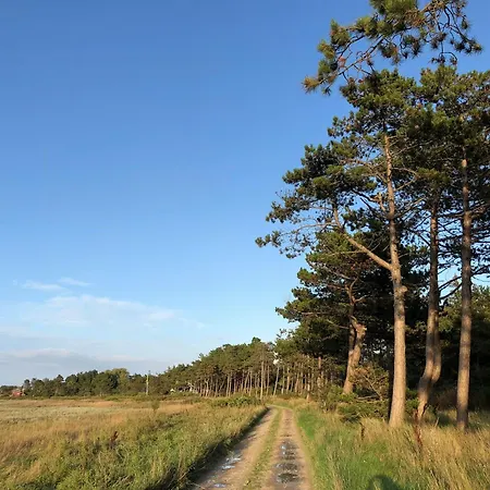 Summer Vibe Near Fynshoved And The Great Belt *
