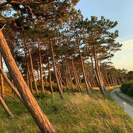 Summer Vibe Near Fynshoved And The Great Belt