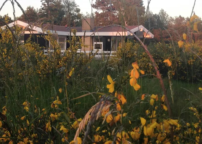 Summer Vibe Near Fynshoved And The Great Belt *