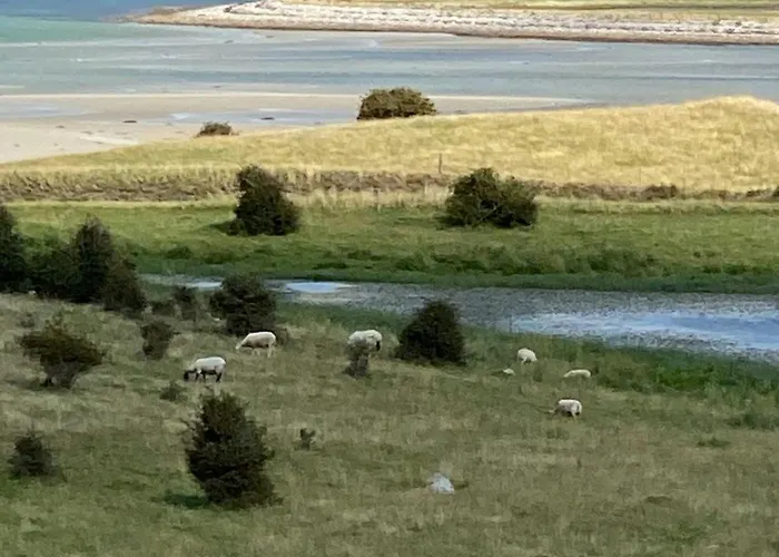 Summer Vibe Near Fynshoved And The Great Belt *