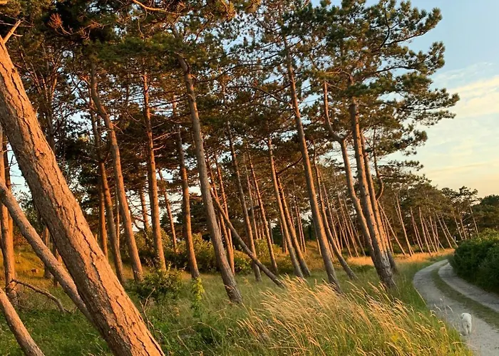 Summer Vibe Near Fynshoved And The Great Belt